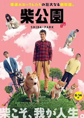 色翁荡息又大又硬又粗视频