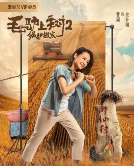 冲天杏梨