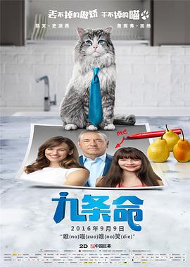 啪啪乐视频