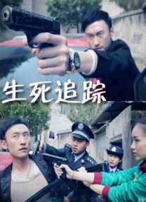 岛国一级片