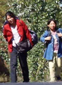 成版人app网站
