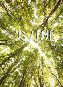 国产99久久久久久免费看