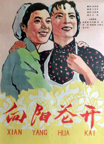 嫂子的职业乐享网