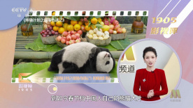 色婷婷电影网